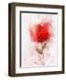 Exuberant Floral-Ken Roko-Framed Art Print