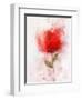 Exuberant Floral-Ken Roko-Framed Art Print