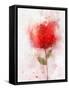 Exuberant Floral-Ken Roko-Framed Stretched Canvas