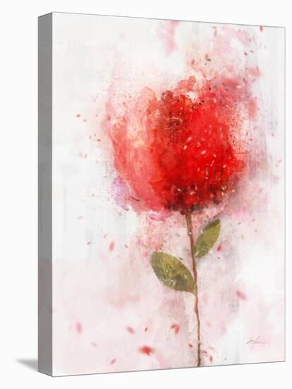 Exuberant Floral-Ken Roko-Stretched Canvas