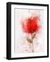 Exuberant Floral-Ken Roko-Framed Art Print