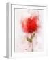 Exuberant Floral-Ken Roko-Framed Art Print