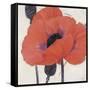 Exuberant Poppy-Ivo Stoyanov-Framed Stretched Canvas