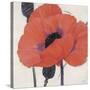 Exuberant Poppy-Ivo Stoyanov-Stretched Canvas