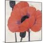 Exuberant Poppy-Ivo Stoyanov-Mounted Art Print