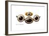 Eye-Agate, 1923-null-Framed Giclee Print