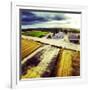 Eye Airfield-Tim Kahane-Framed Photographic Print