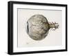 Eye Anatomy, 1844 Artwork-Science Photo Library-Framed Photographic Print