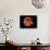 Eye Anatomy-Jose Antonio-Photographic Print displayed on a wall