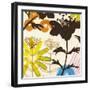 Eye Candy II-Liz Jardine-Framed Art Print