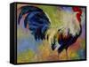 Eye Candy-Marion Rose-Framed Stretched Canvas