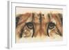 Eye-Catching Cheetah-Barbara Keith-Framed Giclee Print