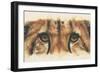 Eye-Catching Cheetah-Barbara Keith-Framed Premium Giclee Print