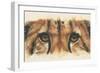 Eye-Catching Cheetah-Barbara Keith-Framed Premium Giclee Print