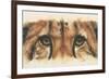 Eye-Catching Cheetah-Barbara Keith-Framed Giclee Print