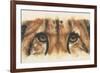Eye-Catching Cheetah-Barbara Keith-Framed Giclee Print