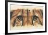 Eye-Catching Cheetah-Barbara Keith-Framed Giclee Print