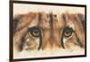 Eye-Catching Cheetah-Barbara Keith-Framed Premium Giclee Print