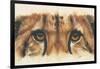 Eye-Catching Cheetah-Barbara Keith-Framed Premium Giclee Print