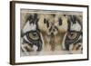 Eye-Catching Clouded Leopard-Barbara Keith-Framed Giclee Print