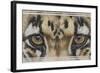 Eye-Catching Clouded Leopard-Barbara Keith-Framed Giclee Print