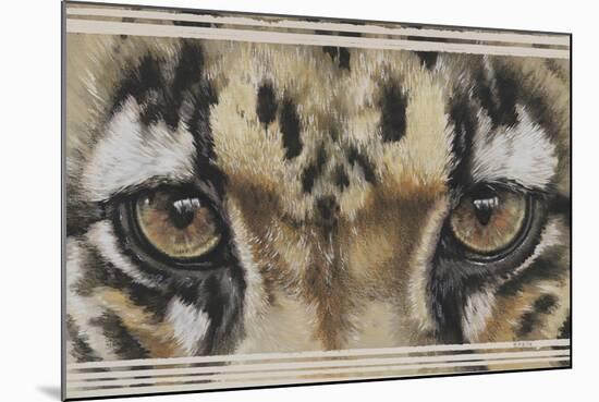 Eye-Catching Clouded Leopard-Barbara Keith-Mounted Giclee Print
