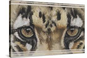 Eye-Catching Clouded Leopard-Barbara Keith-Stretched Canvas