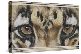 Eye-Catching Clouded Leopard-Barbara Keith-Stretched Canvas