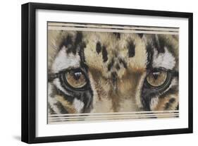 Eye-Catching Clouded Leopard-Barbara Keith-Framed Giclee Print