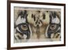 Eye-Catching Clouded Leopard-Barbara Keith-Framed Giclee Print