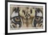 Eye-Catching Clouded Leopard-Barbara Keith-Framed Giclee Print