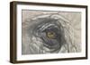 Eye-Catching Elephant-Barbara Keith-Framed Giclee Print