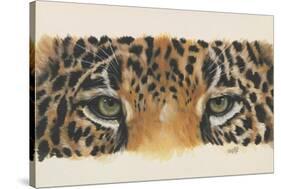 Eye-Catching Jaguar-Barbara Keith-Stretched Canvas