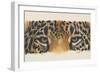 Eye-Catching Jaguar-Barbara Keith-Framed Giclee Print