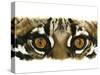 Eye Catching Ocelot-Barbara Keith-Stretched Canvas