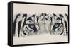 Eye-Catching White Tiger-Barbara Keith-Framed Stretched Canvas