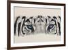 Eye-Catching White Tiger-Barbara Keith-Framed Giclee Print