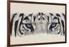 Eye-Catching White Tiger-Barbara Keith-Framed Giclee Print