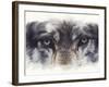 Eye-Catching Wolf-Barbara Keith-Framed Giclee Print