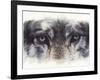 Eye-Catching Wolf-Barbara Keith-Framed Giclee Print