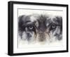 Eye-Catching Wolf-Barbara Keith-Framed Giclee Print