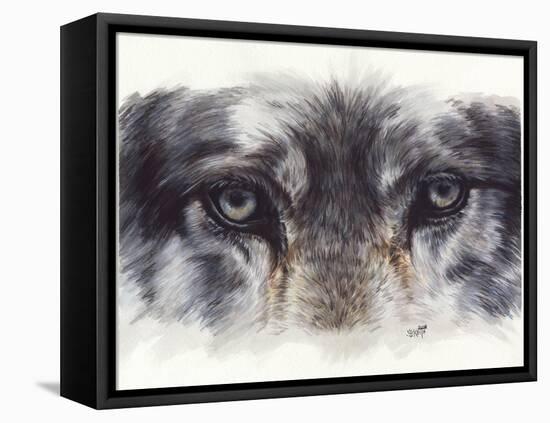 Eye-Catching Wolf-Barbara Keith-Framed Stretched Canvas