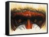 Eye-Catching-Barbara Keith-Framed Stretched Canvas