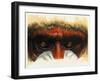 Eye-Catching-Barbara Keith-Framed Giclee Print