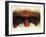 Eye-Catching-Barbara Keith-Framed Giclee Print