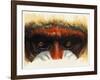 Eye-Catching-Barbara Keith-Framed Giclee Print