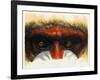 Eye-Catching-Barbara Keith-Framed Giclee Print