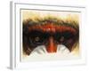 Eye-Catching-Barbara Keith-Framed Giclee Print