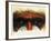 Eye-Catching-Barbara Keith-Framed Giclee Print