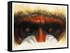 Eye-Catching-Barbara Keith-Framed Stretched Canvas